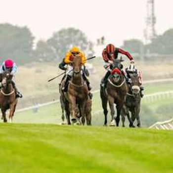 Summer Evening Racing
