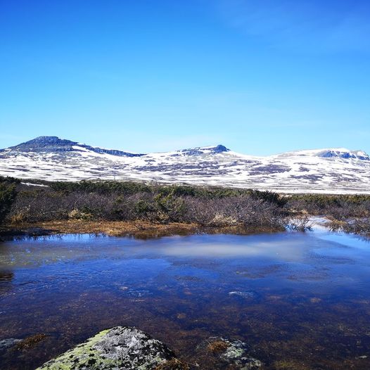 Ramshøgda 14 km tur/retur