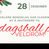 4.dagsball på Veldrom