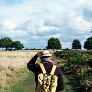 Glanville Fritillary Walk at Mottistone