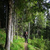 Nordmarka på Langs