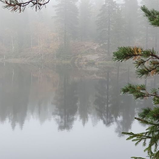 på kjente blåstier og umerkede stier på Romeriksåsen