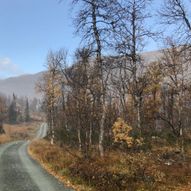 Rjukan fjellstue til Gvepseborg (Rjukan)