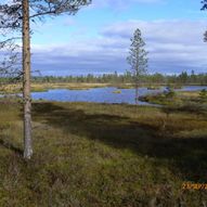 Vollkoia - Blåmyrkoia - Brattberget