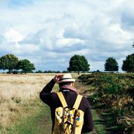 Lincolnshire Wolds Outdoor Festival Walks
