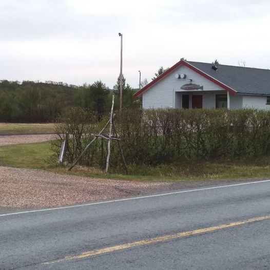 Skiippagurra tursti til gapahuk