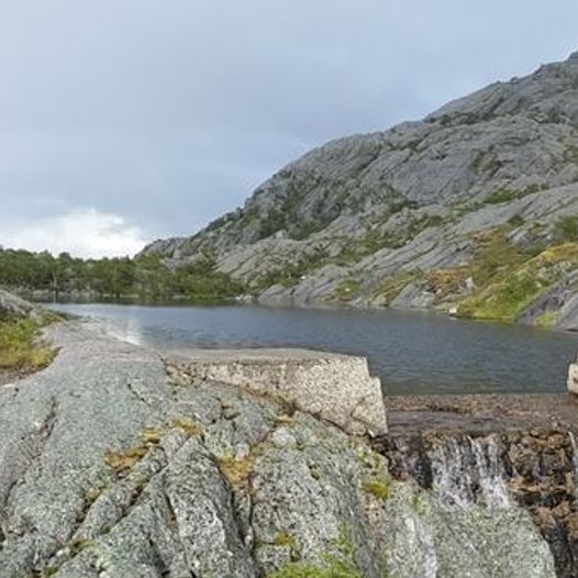 Fjellsåsvannet (nedre)