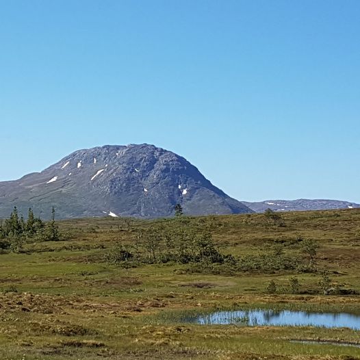 Hermannssnasa fra Klevdalen