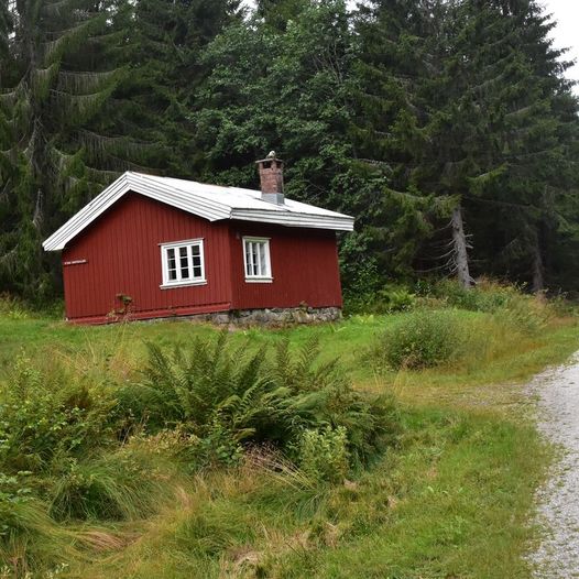 Tur fra Høidalen til Haugen i Tørdal