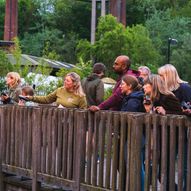 Ouseburn Bat Safari