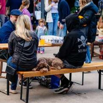 Trenchmore Farm's Autumn Market