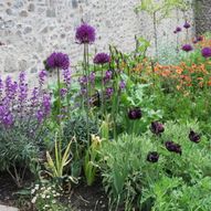 Charity Garden Opening - Chaplains' Court
