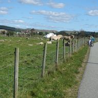 Haugstadskogen - nærtur i Hå