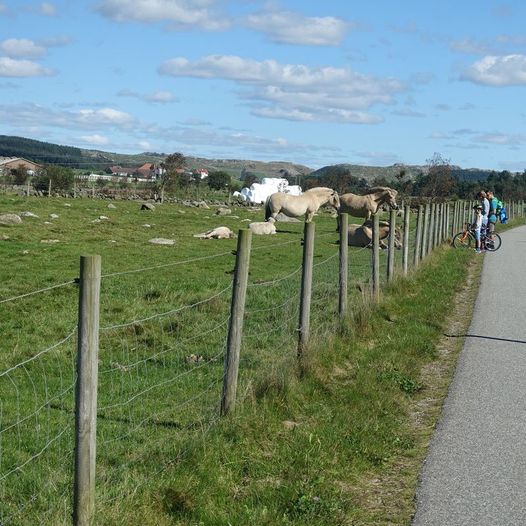 Haugstadskogen - nærtur i Hå