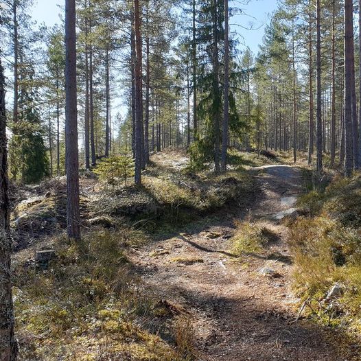 Rundtur Askdammen Tversoverstien