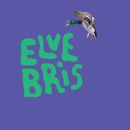 ELVEBRIS 2024 - EARLYBIRD U/ 18 FESTIVALPASS