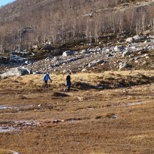 Sti mellom Tunga og Vakkerstøylen