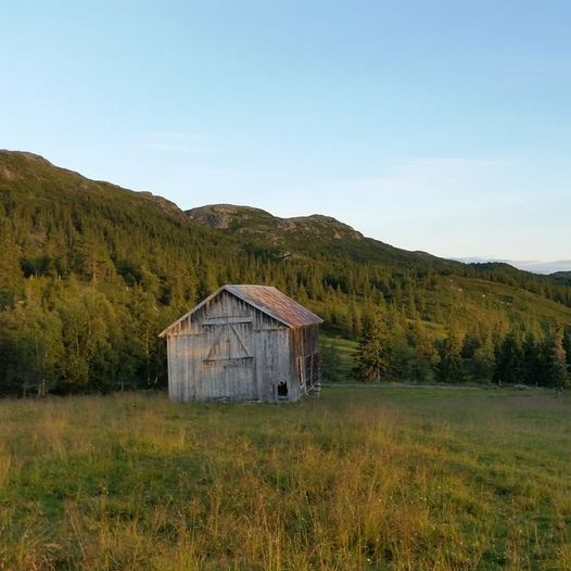 Hallandseter - Grånåset