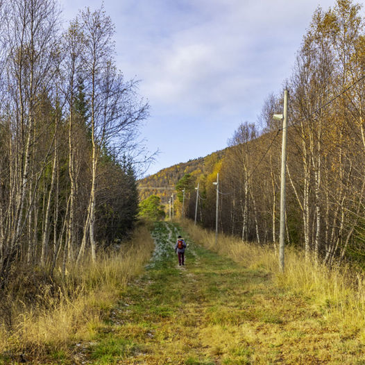 Fottur/skitur til gapahuken i Katthågen ved Storjord