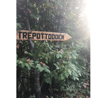 Trepottodden