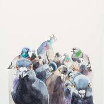 Birdland, by Jim Moir