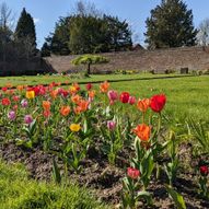 Charity Garden Opening - King's Park Walled Garden