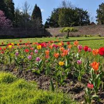 Charity Garden Opening - King's Park Walled Garden