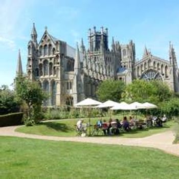 Curious About Ely