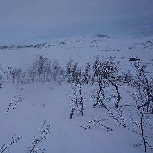 Tverrbrennstua / Gåsvasshågen rundt