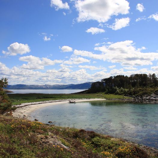 Steine til Hestvika og Steineneset