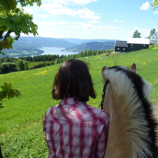 Den Gamle  Ridevegen /gamle Gjøvikveg