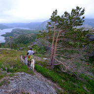 Fjellgården Auslia