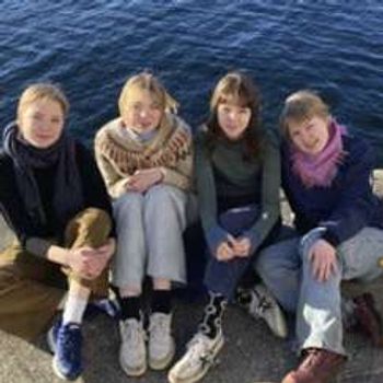 Vepsestikk i Cornerhagen