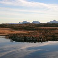 Norsk Myrmuseum