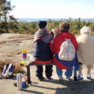 Lunderamsa på Kråkerøy