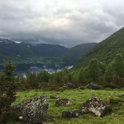 Rundtur Tollefstøylen og Holestøylen (Hamarsbakkestøylen) 