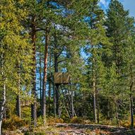 Skogstur fra Kopperud til Kohinor, Bjørnholen, Småtjerna og Rakkermåsan