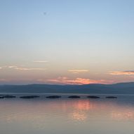 Argyll Impressions – Textile printing inspired by nature