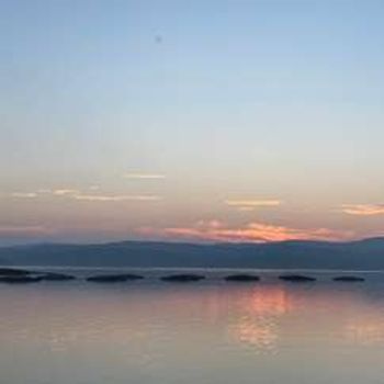 Argyll Impressions – Textile printing inspired by nature
