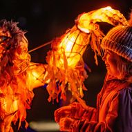 Lanterns and Light at Chester Zoo