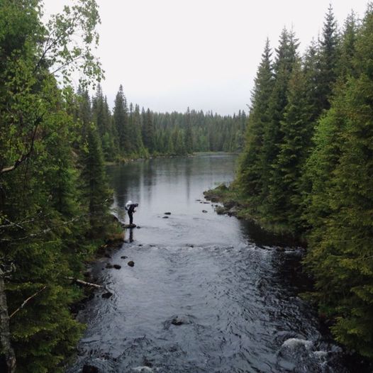 Nordmarka på langs