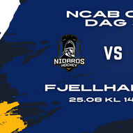 NCAB CUP DAG 3, Nidaros Hockey - Gjøvik Hockey  