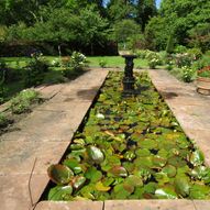 Charity Garden Opening - Southwick House