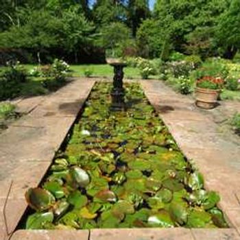 Charity Garden Opening - Southwick House