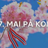 17. mai på Koie