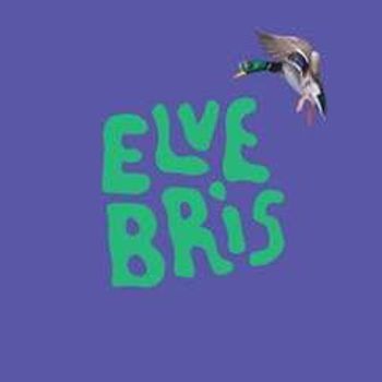 ELVEBRIS 2026 - FESTIVALPASS