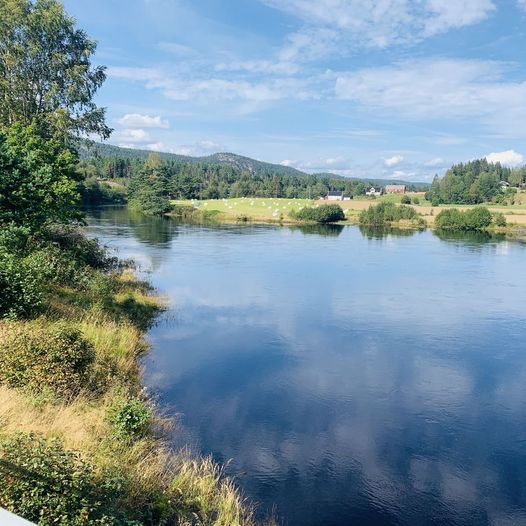 Sikksakk på sykke over bruer og langs Tovdalselva: Fra Tveit til Birkeland