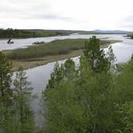 Øvre Pasvik Nasjonalpark