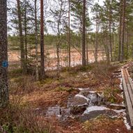 Skøyenåsen til Vennevål