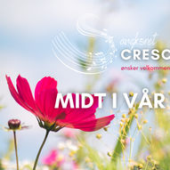 Crescendo: Midt i vår verden